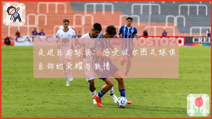 走进巨龙球场：感受波尔图足球俱乐部的荣耀与激情