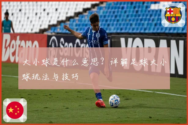 大小球是什么意思？详解足球大小球玩法与技巧