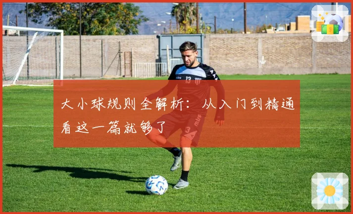 大小球规则全解析：从入门到精通看这一篇就够了